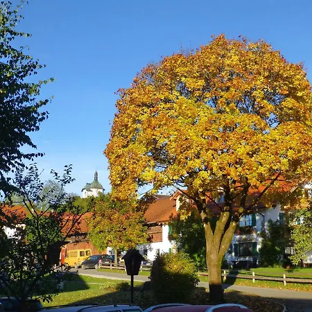 4 Bayersoien