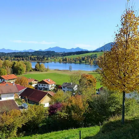 4 Bayersoien