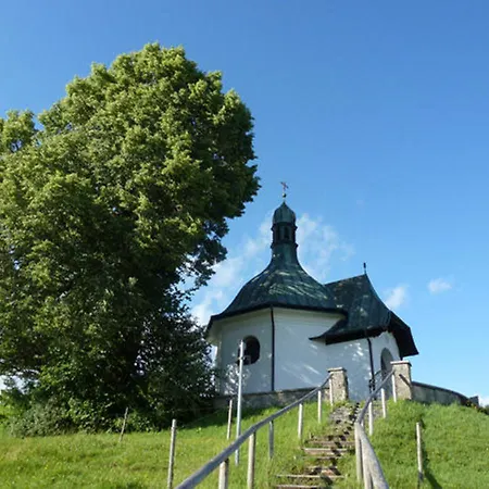 4 Bayersoien