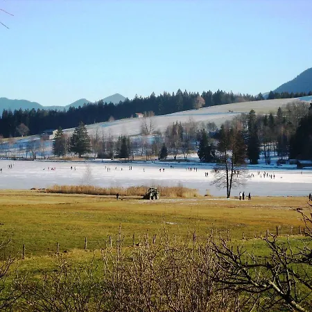 4 Bayersoien